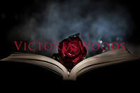 Victoria  Woods profile picture