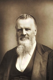 Henry Morley profile picture