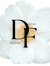 Delia  Foster