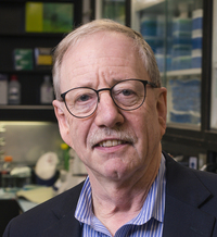 Steven  N. Austad profile picture