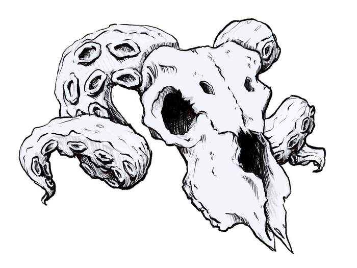Db Rook D.B. Rook (Author of Callus & Crow)