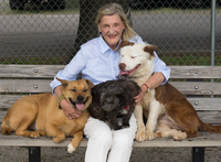 Jennifer F. Dobbs profile picture