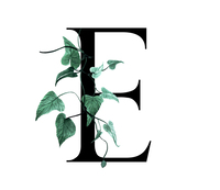 Emily  North profile picture
