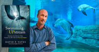 David P. Yates profile picture