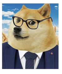 R. Magnusholm profile picture