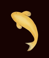 G. Koi profile picture