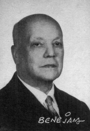 Marino Benejam profile picture