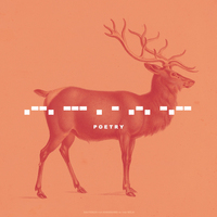 Kingdoms in the Wild