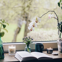 Azeezat Adeola A.B.A.