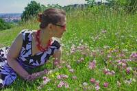 F. Anne Fischer profile picture