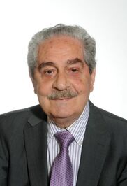 Julio Mangas Manjarrés
