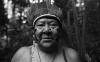 Davi Kopenawa profile picture