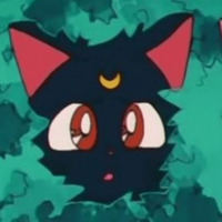 Cindy J. Steward profile picture