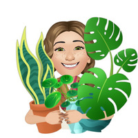 Kolleen Fraser profile picture
