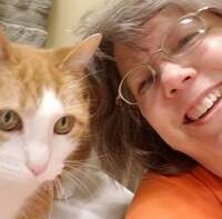 Beverly Crider profile picture