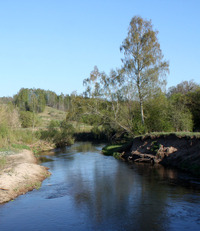 Gediminas Kulikauskas