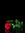 V.M. Rose