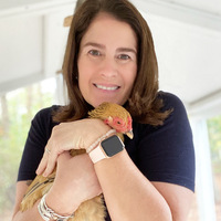 Melissa Caughey profile picture