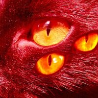M. X. Walker profile picture
