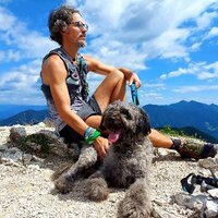 Boštjan  Videmšek profile picture