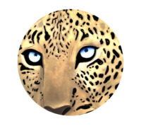 Sofia Foskaris profile picture