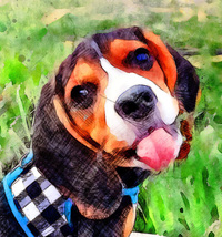 W.B. Murph profile picture