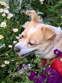 June Price profile picture