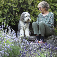 H.E.  Stewart profile picture