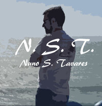 Nuno S. Tavares