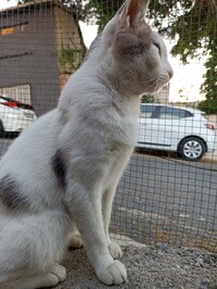 Zehra Uzun