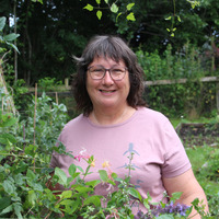 Sue  Reed