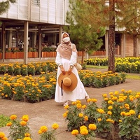 Flazia profile picture