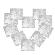 Lana Grace Riva profile picture