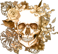 Emily Bowie profile picture