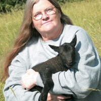 Maggie Sayer profile picture