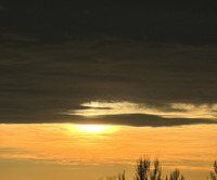 Andreea Gabriela Tudor