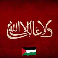 محمد عرفه