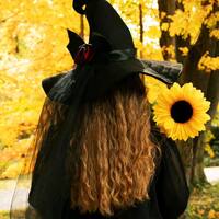 Mae  Holloway profile picture
