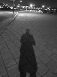 Sebastián Ibarra Gutiérrez profile picture