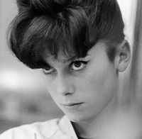 Charlotte Shane profile picture
