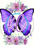 K.C. Ward