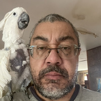 Andres E. Pedraza