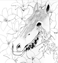 V.T. Hoang profile picture