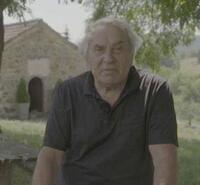 Milisav Savić profile picture