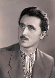 Oles Berdnyk profile picture