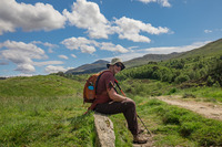 Michael  Windelspecht