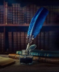 شهد قربان profile picture