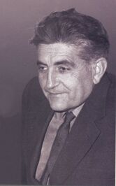 Miodrag Popović