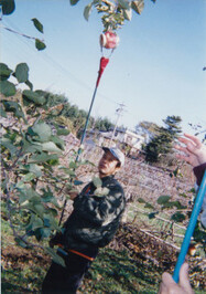 Kawashima Norikazu profile picture