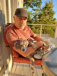 Gary Tarulli profile picture
